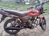 Platina 100cc bike